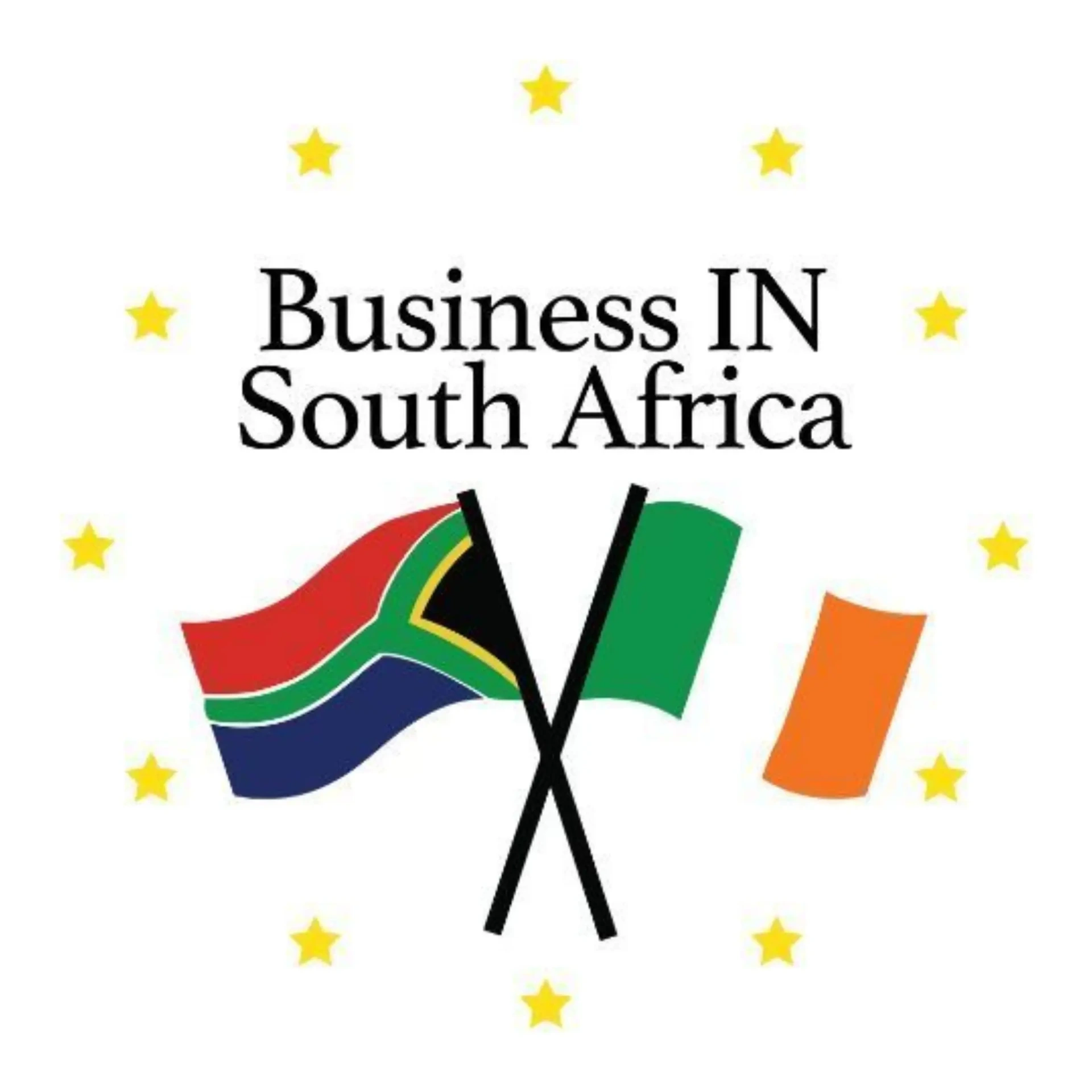BINSA logo